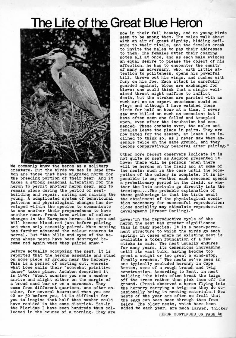 Inside Front Cover - The Life of the Great Blue Heron