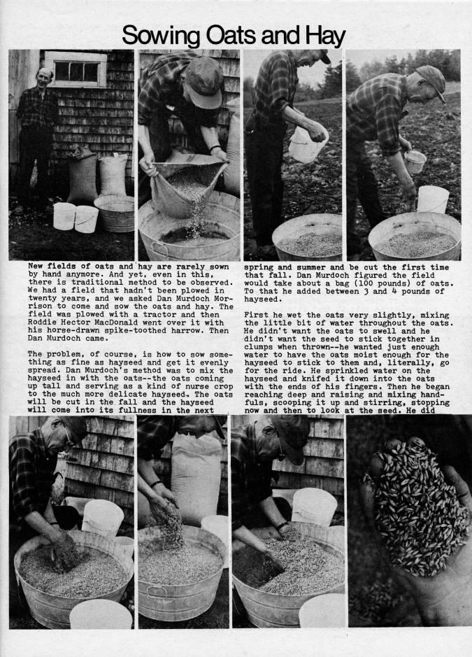 Page 7 - Sowing Oats and Hay