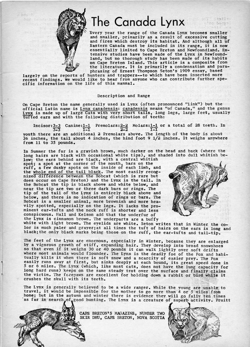 Page 1 - The Canada Lynx